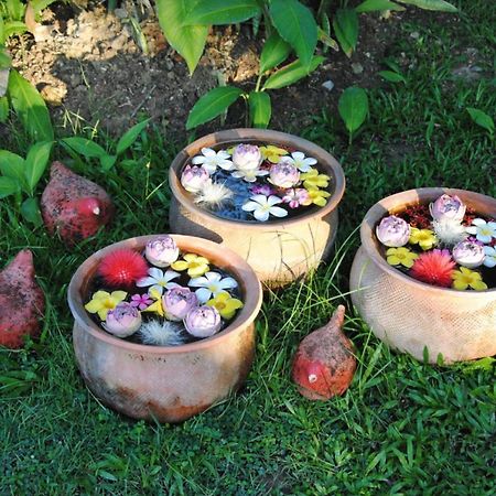 Baan Chai Thung Resort Doi Saket Eksteriør billede
