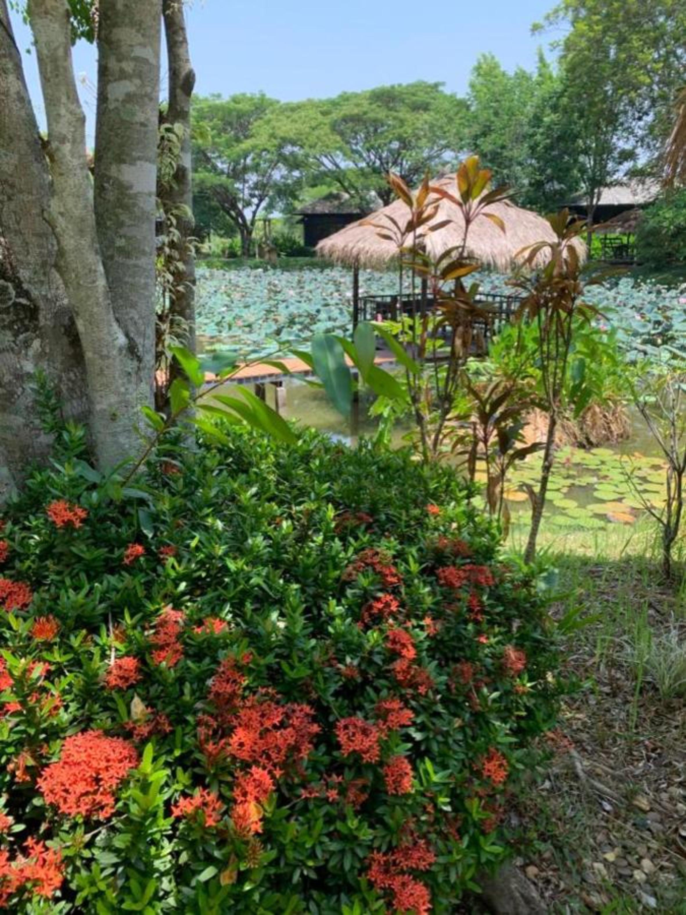 Baan Chai Thung Resort Doi Saket Eksteriør billede