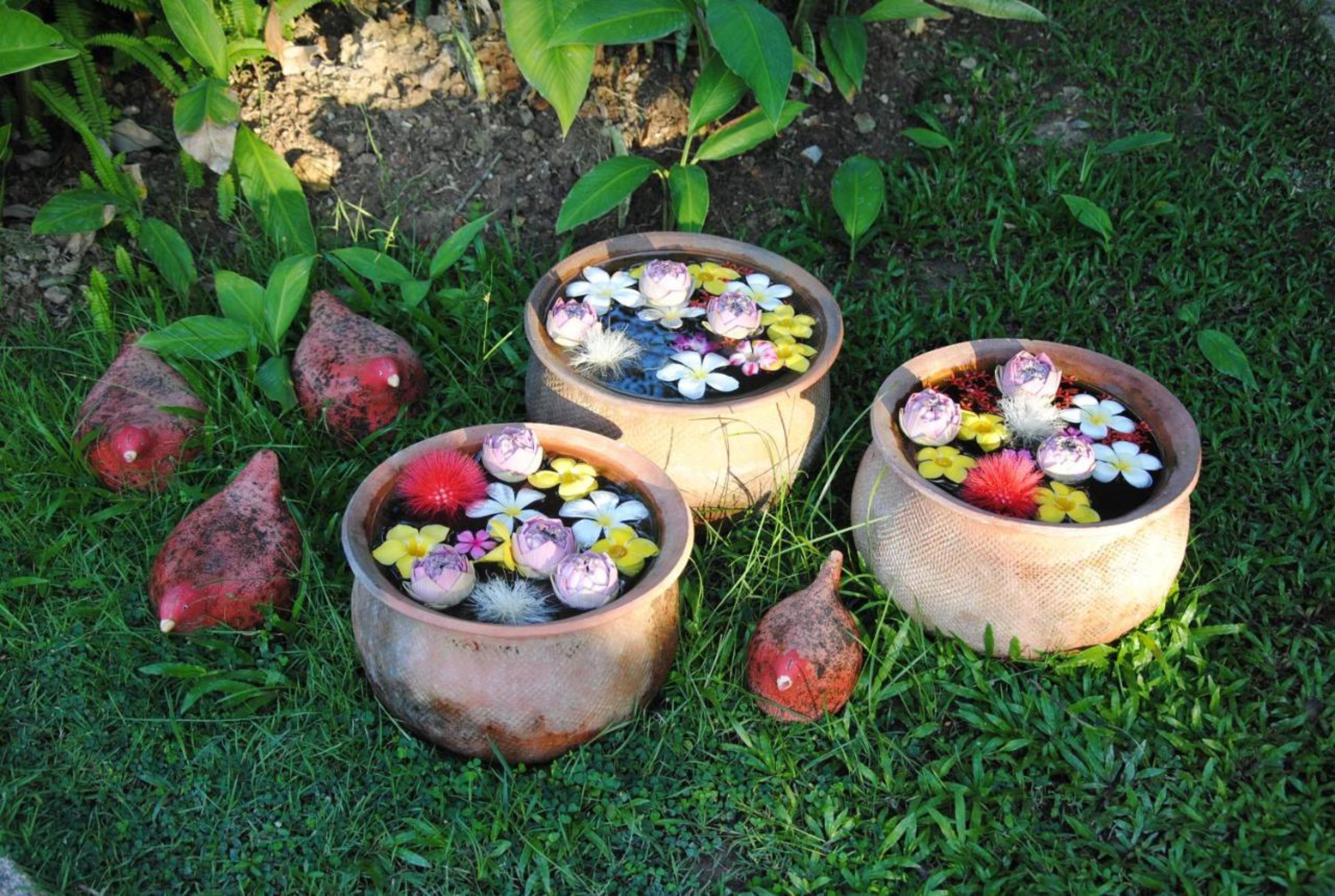 Baan Chai Thung Resort Doi Saket Eksteriør billede